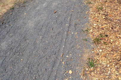 Compacted gravel trail may have loose gravel in areas